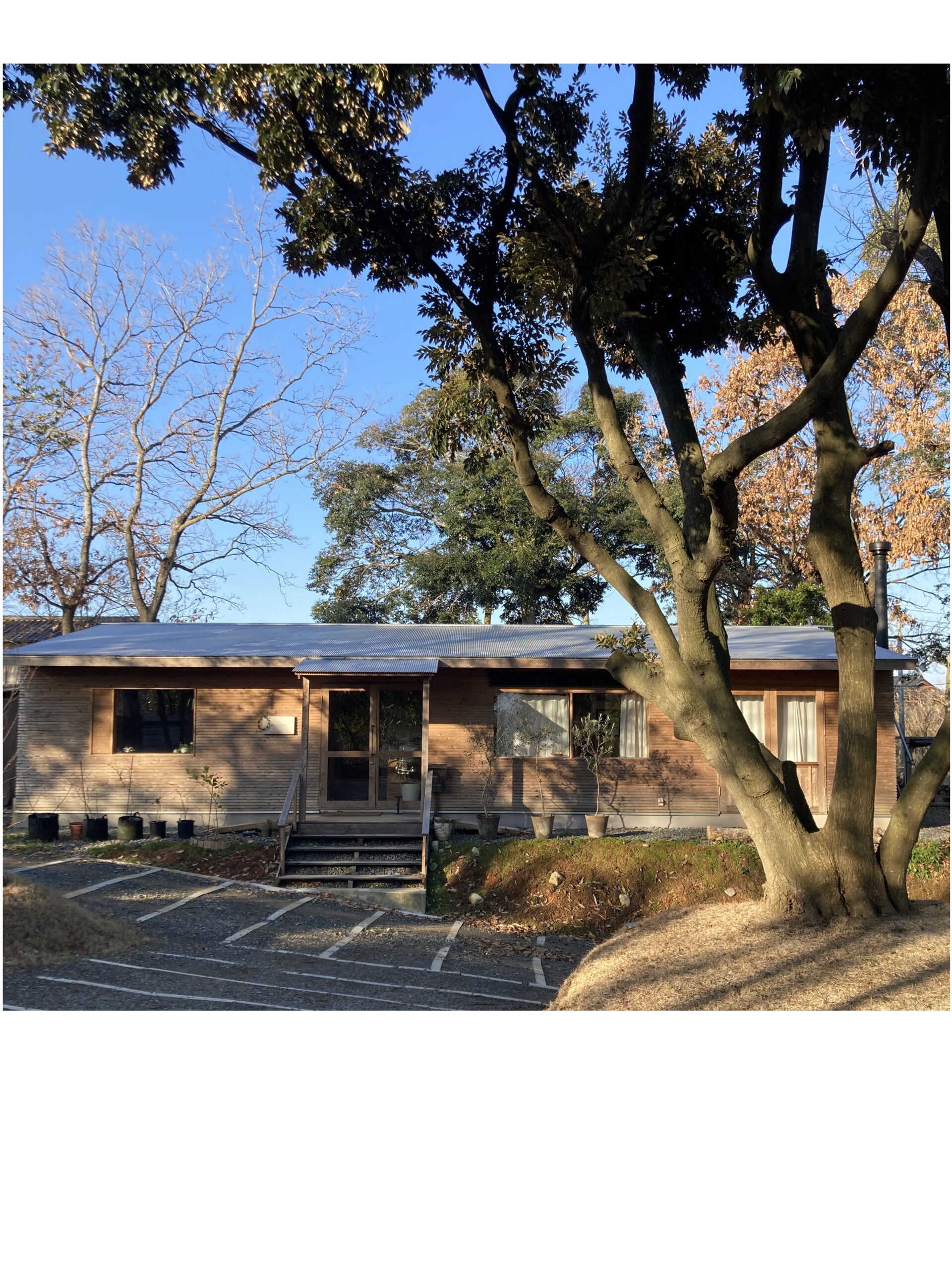 サスティナブルな平屋の家